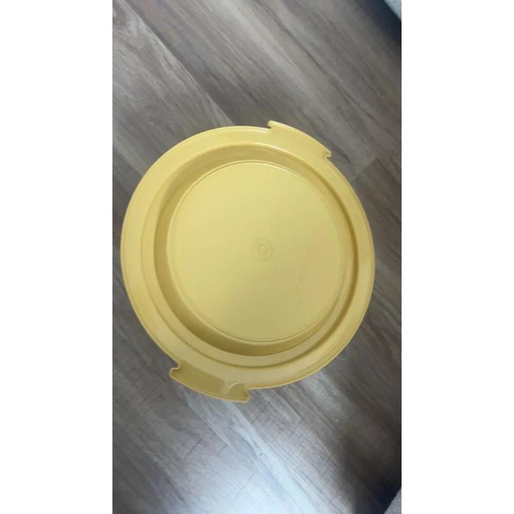 Tupperware vintage cake